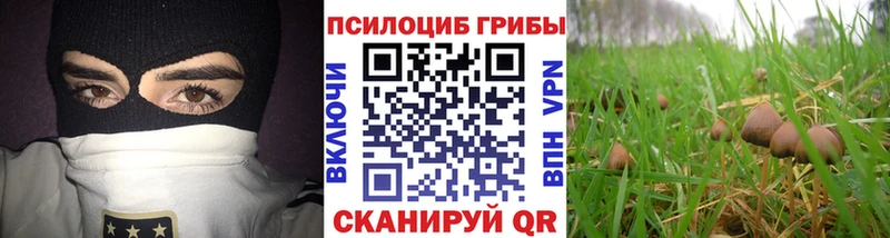 Галлюциногенные грибы Cubensis где купить наркотик Зуевка